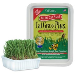 Miracle Care Cat A’bout Grass Kit for 5.25 Ounce (Pack of 1), Green