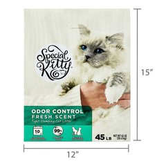 (2 pack) Special Kitty Clumping Clay Cat Litter, Fresh Scent, 45 lbs Box