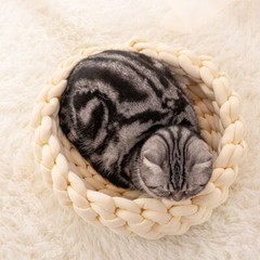 Pet Cat Dog Bed Fluffy Soft Cat Dog Bed Round Marshmallow Donut Cat Bed Sleeping