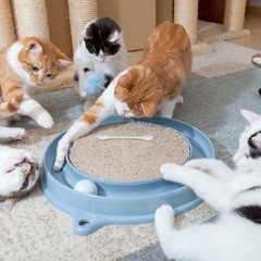 6 PCS Extra Large Cat Toys Pets Chewing Cotton Swab Giant Stick Interactive