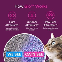 Boxie® Glo™ 30 Day Odor Control Non-Clumping Crystal Cat Litter, 6 lb, Natura…