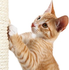 Sturdy Sisal Replacement Post for Cat Furniture – 3.5 in x 11.8 in Classic Style