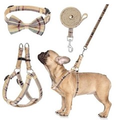 Adjustable No Pull Dog Harness Collar Leash Set – Small Dog – No Pull