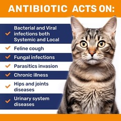 Natural Infection & Allergy Relief for Cats | Joint Support | Antibiotic drops