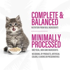 Tiki Pets Tiki Cat Baby Pate Wet Cat Food For Kittens Variety Pack 2.4 Oz. Can