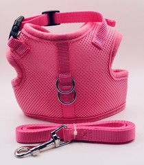 Escape Proof Cat Harness with Leash + Reflective Collar – Adjustable S M L XL