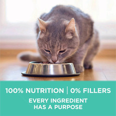 2 pack Purina ONE Sensitive Stomach, Sensitive Skin, Natural Dry Cat Food, +Plus