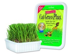 Indoor Cat Grass Kit 5.25 Ounce Easy Grow 98 Germination Rate Fiber Nutrients