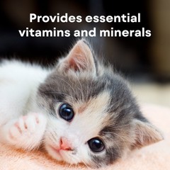 PetAg Liquid Milk Replacer Plus – 32oz, Premium Nutrition for Cats and Kittens