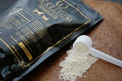 Immune System Support for Dogs and Cats | Helps Fight Off Infections & Allergy