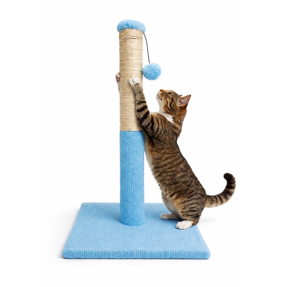 Cat Scratching Post for Indoor Cats – Compact Sisal Rope Scratcher with Hangi…