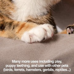 PetFusion Multipurpose Pet Glove for Grooming, Trips to Vet, Handling. [Punct…