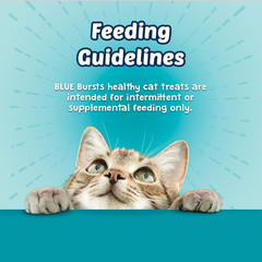 Blue Buffalo Bursts Crunchy & Creamy Cat Treats, Great for Training, Savory Seaf