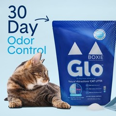 Boxie® Glo™ 30 Day Odor Control Non-Clumping Crystal Cat Litter, 6 lb, Natura…