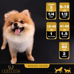 Heart Supplement for Dogs and Cats | Provides Excellent Cardiovascular Support