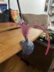 Cat Toy Mechanical Moving Feather Adjustable Clasp Batteries Included Fun!