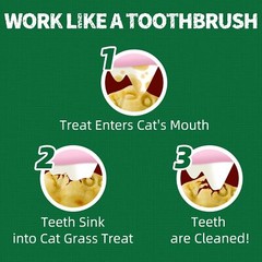 Just Try 13.4 OZ Cat Grass Treats Natural Salmon Flavor Healthy Cat Snacks Tr…