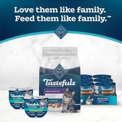 Blue Buffalo Tastefuls Active Dry Cat Food Chicken 3 Lb Natural Ingredients
