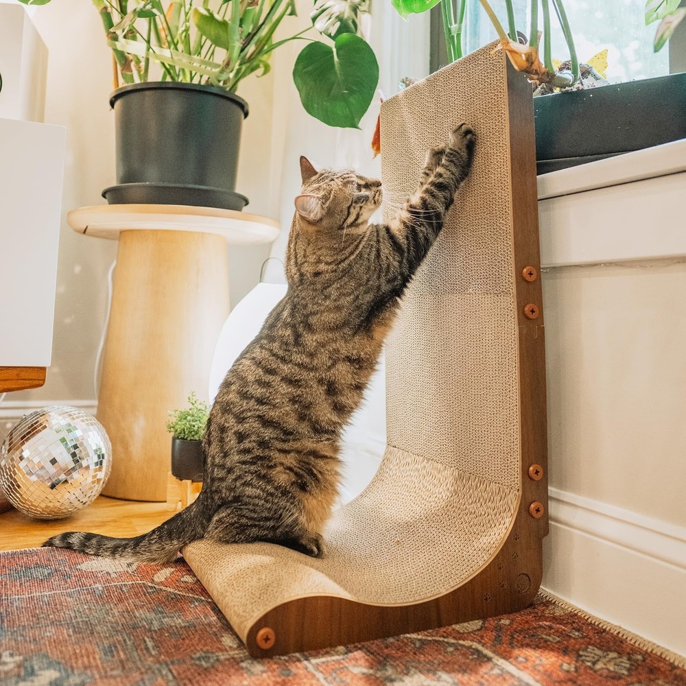Necoichi Cardboard Cat Scratcher Wall for Indoor Cats – Cat Scratching Board,…