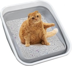 Large Grey Cat Litter Box for Easy Access – Perfect for Kittens & Seniors