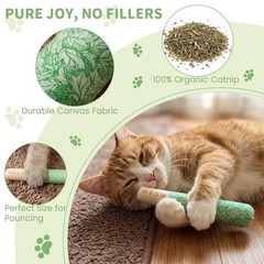 6 Pack Catnip Toys for Cat Chew Toy with 2 Bags, Organic and Safe green