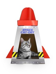 American Cat Club Cat House with Scratcher & Catnip Included – Space Ship
