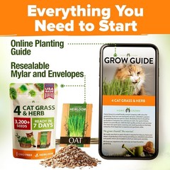 Indoor/Outdoor Cat Grass – 3200 Seeds of Non-GMO Oat & Alfalfa for Picky Felines