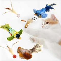 Grotryphy 3 Pack Catnip Cat Toys with Realistic Chirping green& bule &Brown