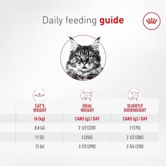 Feline Health Nutrition Aging 11+ Wet Cat Food for Seniors, Thin Slices in Gr…
