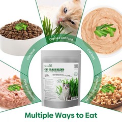 Groundio Cat Grass Seeds, 16OZ Non-GMO Barley, Oats, Wheat, Rye 16 OZ, green