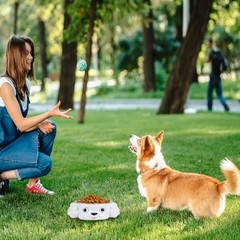 Dog Bowl for Mudium Small Breeds Cute Pet Food Bowl Detachable Stainless Steel