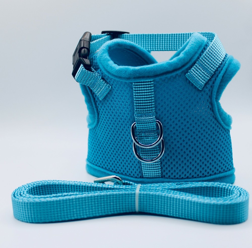 Escape Proof Cat Harness with Leash + Reflective Collar – Adjustable S M L XL