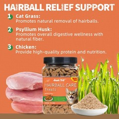 16 OZ Hairball Support Cat Treats Hairball Removal Chicken Flavor Healthy Cat…