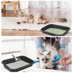 3 Pcs Low Entry Senior Cat Litter Box with Scoop, Extra Large Pet Litter Box …