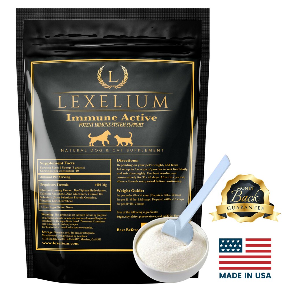 Immune System Support for Dogs and Cats | Helps Fight Off Infections & Allergy