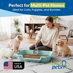Large Green Open Top Litter Box for Senior Cats – KittyGoHere Comfort Solution