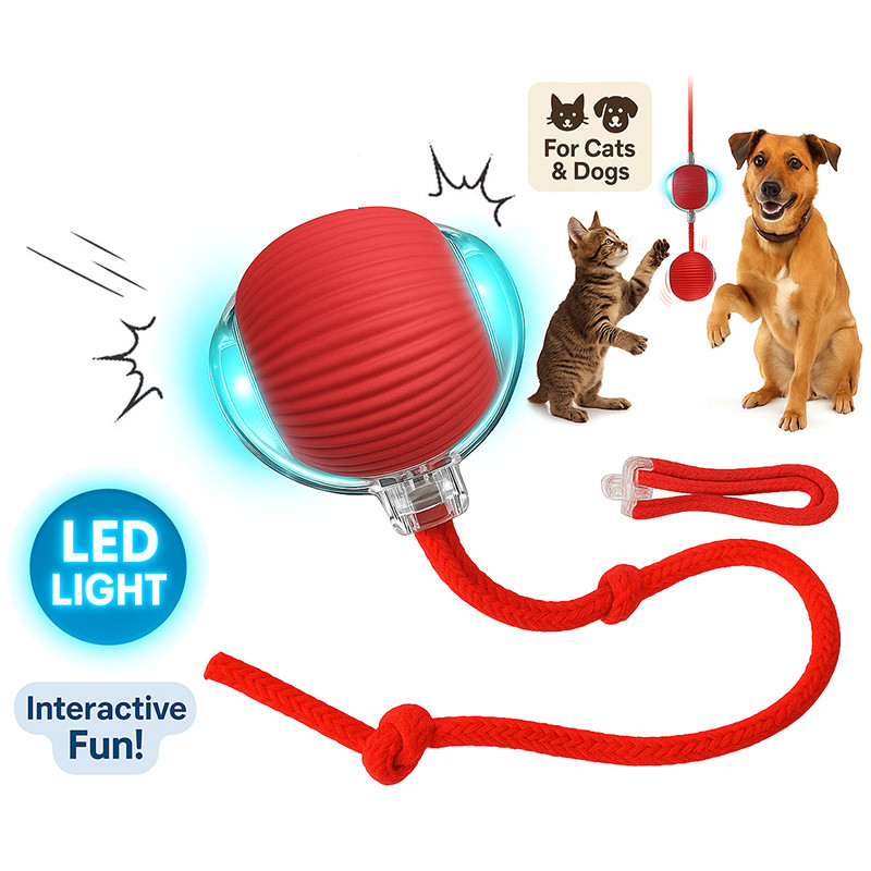Automatic Rolling Ball Smart Cat Dog Toy Electric Pet Self-moving Kitten Game US