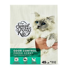 (2 pack) Special Kitty Clumping Clay Cat Litter, Fresh Scent, 45 lbs Box