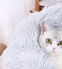 Cat House Weatherproof Cat Dog Warm Pet Shelter Carrier Winter Plush Soft