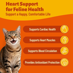 Cat Cardio Bites – 15% Taurine for Cats with Coq10, L-Carnitine & Fish Oil – Imm