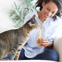 INABA Churu Cat Treats, Lickable, Squeezable Creamy Purée Cat Treat with Green T