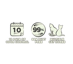 (2 pack) Special Kitty Clumping Clay Cat Litter, Fresh Scent, 45 lbs Box, 1 Ct