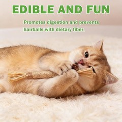 Silvervine Cat Sticks Natural Chew Sticks for Cats Catnip Sticks Cat Teething