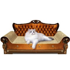 Luxury Cardboard Cat Scratcher Sofa Bed, Couch Shaped Cat Scratching Board, C…