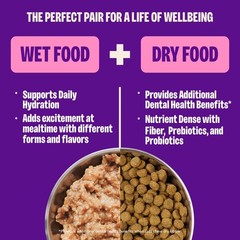 Wellness Complete Health Pate Kitten Wet Cat Food, Natural, Protein-Rich,24 Pack