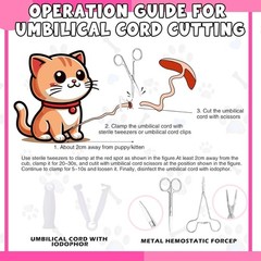 45 Pcs Puppy Dog Kitten Whelping Supplies Starter Kit for Birth Include Pet ….