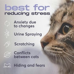 Cat Stress Relief Diffuser Refills with Pheromones – 1 Refill for 30 Days
