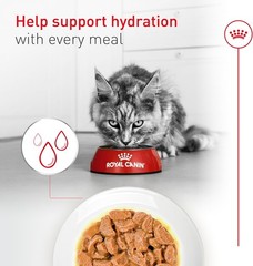 Feline Health Nutrition Aging 11+ Wet Cat Food for Seniors, Thin Slices in Gr…