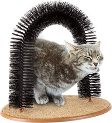 Cat Self-Groomer – Bristle Ring Brush Cat Arch with Carpeted Base, Back Scratche
