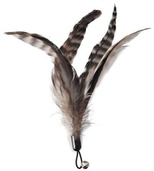 Ecocity Cat Toys – No Chemical Dyeing Cat Feather Toys for Indoor Cats – Include
